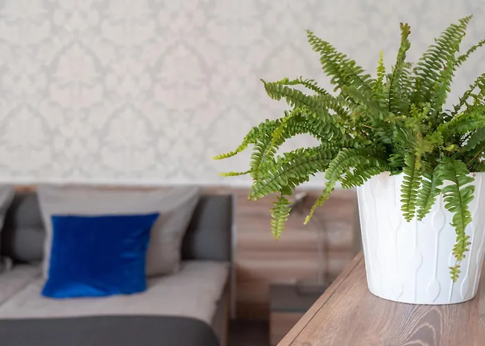 מלון דירות Komfort Zone